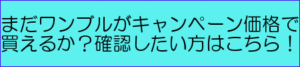 【超重要！】ワンブルを激安！最安値で買うために絶対必要なこと！それは・・・