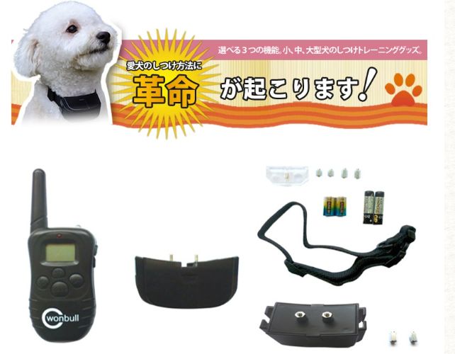 【超重要！】ワンブルを激安！最安値で買うために絶対必要なこと！それは・・・