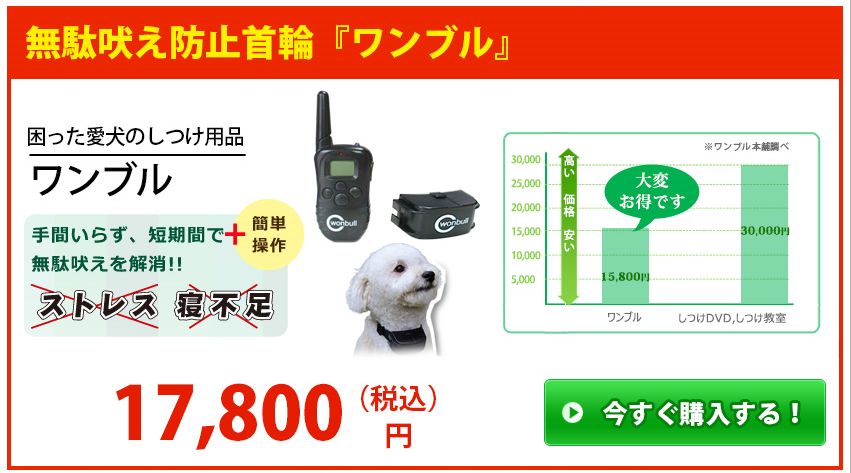 ワンブルを最安値で買うために必要なのは・・・