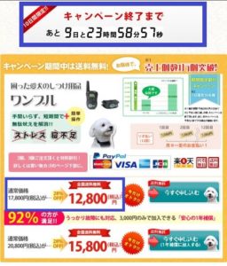 ワンブルを最安値で買うには決断力が必要な理由と証拠！