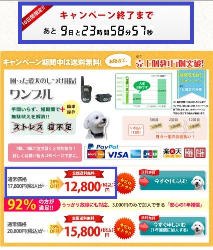 ワンブルを最安値で買うには決断力が必要な理由と証拠！