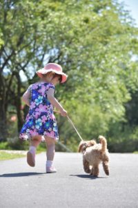 ワンブル や しつけくん は、犬がかわいそうと言った知人がいたが、本当にそうなのだろうか？