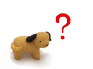 ワンブルを子犬で使用できるのはいつから？その理由も解説！