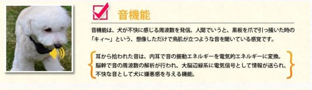 ワンブル口コミ評判