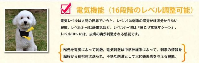 ワンブル口コミ評判